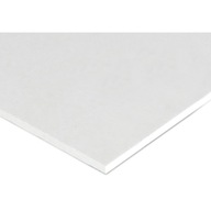 PVC PVC TVRDÉ biele 492x492mm 3 mm