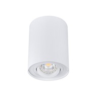 BORD DLP-50-W Kanlux 22551 bodové stropné svietidlo BORD DLP-50-W Kanlux 22551 bodové stropné svietidlo
