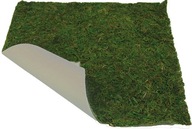 Sušený PRÍRODNÝ MACH na PLACHTOVEJ doske na dekoráciu betlehemu - 60 x 40cm Sušený PRÍRODNÝ MACH na PLACHTOVEJ doske na dekoráciu betlehemu - 60 x 40cm