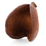 Ovocná škrupina indického orecha Buddha Fruits