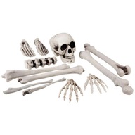 DEKORÁCIA ľudské kosti LEBKA halloween výzdoba kostry