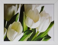 OBRAZ 35x45 TULIPSY KVETY KVETY BIELY RÁM OBRAZ 35x45 TULIPSY KVETY KVETY BIELY RÁM