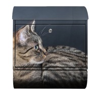 Poštová schránka s držiakom na noviny - vzor sivej mačky