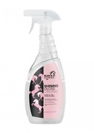 Čierny kôň Shining Gloss Original 750 ml Čierny kôň Shining Gloss Original 750 ml