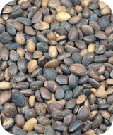 Cédrové orechy 1 kg Cédrové orechy 1 kg