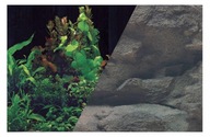 Zolux Obojstranné pozadie akvária [60x120cm] rastliny