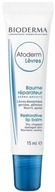 BIODERMA Atoderm Lèvres Vyživujúci a regeneračný balzam na pery 15ml BIODERMA Atoderm Lèvres Vyživujúci a regeneračný balzam na pery 15ml
