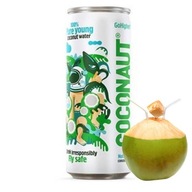 Coconaut Young Coconut Water 100% 320ml