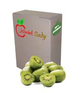 MINI KIWI ŠŤAVA 100% 3L NFC (ACTINIDIA) Lis MINI KIWI ŠŤAVA 100% 3L NFC (ACTINIDIA) Lis