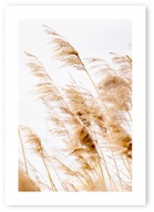 Obraz na plagát Boho GRASS hnedý B2 50x70cm #20 O Obraz na plagát Boho GRASS hnedý B2 50x70cm #20 O