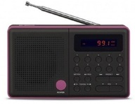 Rádio Pliszka USB, FM, čierne