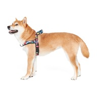 John Dog Barcelona Nórsky postroj pre psov S John Dog Barcelona Nórsky postroj pre psov S