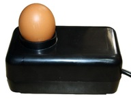 VTÁČIE VAJÍČKO, TESTER EMBRYO VTÁČIE VAJÍČKO, TESTER EMBRYO