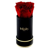 Kvetináč červená večná ruža krásne vonia