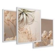 SET Zarámované obrazy, plagáty, sušené kvety, boho triptych, 43x99 SET Zarámované obrazy, plagáty, sušené kvety, boho triptych, 43x99
