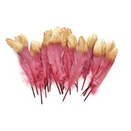 Dlhé ružové pozlátené pierka, 24 kusov, čelenka