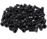 Skrutka M4x10 TORX, trieda 12.9, balenie 10 ks Skrutka M4x10 TORX, trieda 12.9, balenie 10 ks