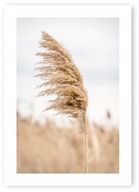 Boho grass béžový plagát A1 59,4x84,1 cm #20C Boho grass béžový plagát A1 59,4x84,1 cm #20C