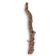 Konár z korkového dubu 30 cm Konár z korkového dubu 30 cm
