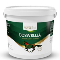 Boswellia Serrata 2 kg + šnúrka na krk ZDARMA Boswellia Serrata 2 kg + šnúrka na krk ZDARMA