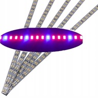 páska led páska grow 5630 ip20 0,5m 72 led 3 PIN páska led páska grow 5630 ip20 0,5m 72 led 3 PIN