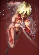 Plagát Anime Manga Attack on Titan aot 114 A2 Plagát Anime Manga Attack on Titan aot 114 A2