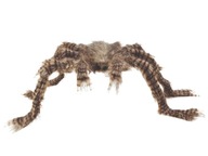 Chlpatý halloweensky pavúk - 50 x 70 cm - 1 ks