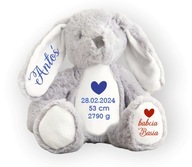 Bunny Metrický darčekový krst krst mazdala maskot medveďa meno narodeniny