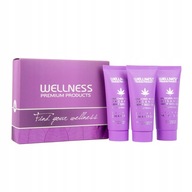WELLNESS SADA BLONDOV VLASOV 2x ŠAMPÓN + MASKA WELLNESS SADA BLONDOV VLASOV 2x ŠAMPÓN + MASKA