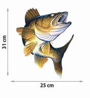 NÁLEPKA ZANDER RYBA NA AUTO ČL 25 cm + ZADARMO NÁLEPKA ZANDER RYBA NA AUTO ČL 25 cm + ZADARMO