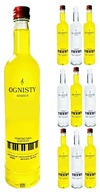 10x sklenená fľaša s ohnivou potlačou 500 ml pre topbottles na vodku Moonshine 10x sklenená fľaša s ohnivou potlačou 500 ml pre topbottles na vodku Moonshine