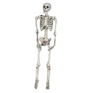 Halloween Skeleton Realistické Dekorácie Spoje