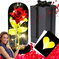 Večná ruža v skle Darček na Valentína PREMIUM HQ