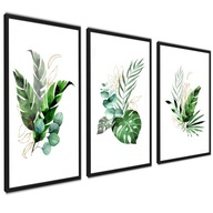 SET Plagáty bez rámov Botanické rastliny 50x70 SET Plagáty bez rámov Botanické rastliny 50x70