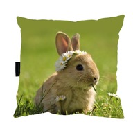 VANKÚŠ s KRÁLIKOM KRÁLIKOM 40x40 perfektný DARČEK VANKÚŠ s KRÁLIKOM KRÁLIKOM 40x40 perfektný DARČEK
