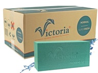 Mokrá kvetinová špongia Victoria Floral Products BOX 20 KS