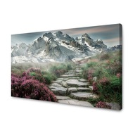 Obraz na plátne Príroda Vres na horách 70x50 cm Obraz na plátne Príroda Vres na horách 70x50 cm