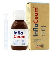 Inflaceum 100 ml sirupu pre psov a zápalové mačky Inflaceum 100 ml sirupu pre psov a zápalové mačky