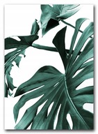 MONSTER LEAVES Plagát bez rámu B2 50x70 #138 MONSTER LEAVES Plagát bez rámu B2 50x70 #138