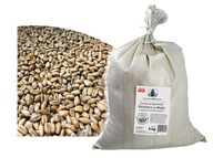 PŠENICA na BIO múku do mlynčeka Thermomix 5 KG ECO PŠENICA na BIO múku do mlynčeka Thermomix 5 KG ECO