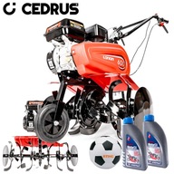 BENZÍNOVÝ KULTIVÁTOR CEDRUS LONCIN 600 G200F 82CM 5,5 HP