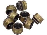TESNENIA ZÁSUVKY VENTILU FIAT PALIO 1.2 TESNENIA ZÁSUVKY VENTILU FIAT PALIO 1.2