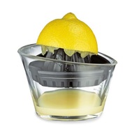 Lis na citrusy 0,07 l Lis na citrusy 0,07 l