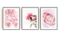 moderné obrazy FLOWERS ROSES plagát ruže 3x 30x40