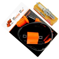 RACING BEE COIL PLUG BASHAN ATV QUAD TUNING EGL RACING BEE COIL PLUG BASHAN ATV QUAD TUNING EGL