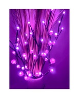 DEKORATÍVNA ODBOČKA 67CM LED GULIČKY 48 LEDiek FIALOVÁ DEKORATÍVNA ODBOČKA 67CM LED GULIČKY 48 LEDiek FIALOVÁ