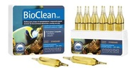 Prodibio BioClean Salt 12 ampuliek - nitrianske baktérie Prodibio BioClean Salt 12 ampuliek - nitrianske baktérie