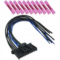 MEGANE SCENIC II 10P PLUG UPC BSI MODULE SVAZKY MEGANE SCENIC II 10P PLUG UPC BSI MODULE SVAZKY