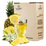 LIMONÁDA Ananás & Bazové kvety 5L LIMONÁDA Ananás & Bazové kvety 5L