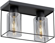 Edison Retro Led Cage závesné stropné svietidlo Edison Retro Led Cage závesné stropné svietidlo